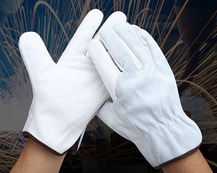 16690551097_1288299515